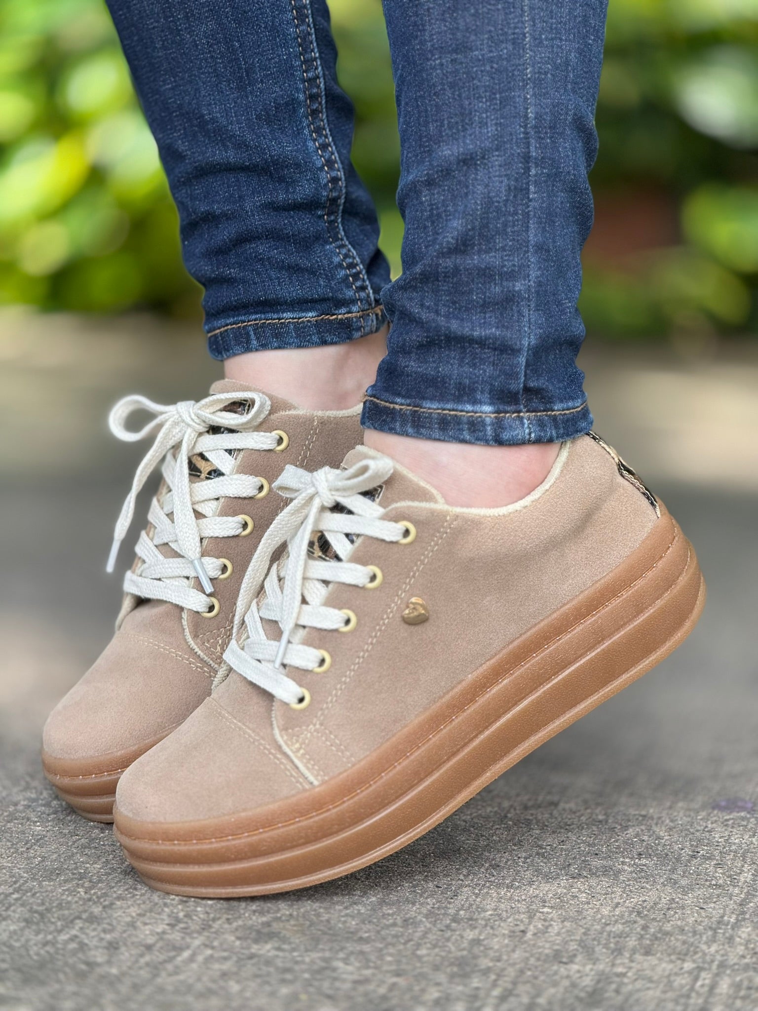 gid://shopify/MediaImage/24732300542046